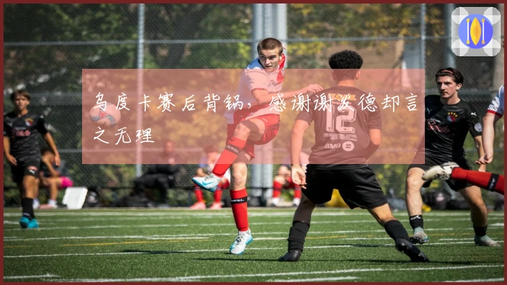 乌度卡赛后背锅，感谢谢泼德却言之无理